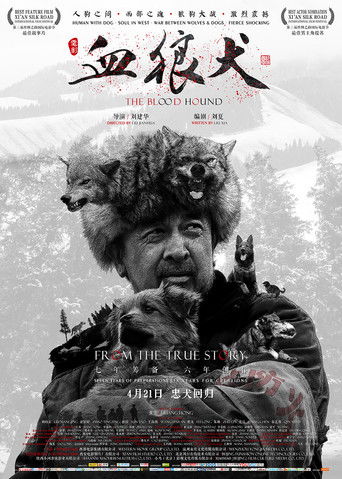 Постер фильма «血狼犬»