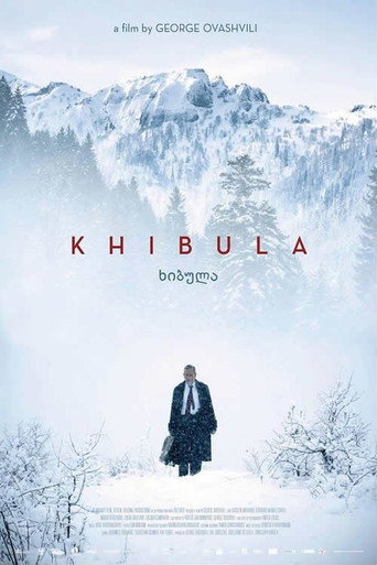 Постер фильма «ხიბულა»