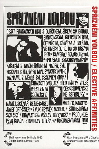 Poster for “Elective Affinities”
