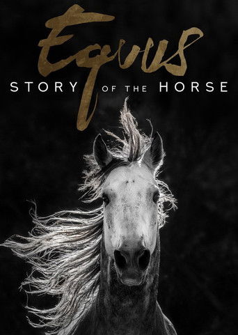 Постер фильма «Equus, une histoire de chevaux et d'hommes»