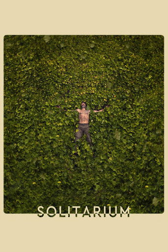 Постер фильма «Solitarium»