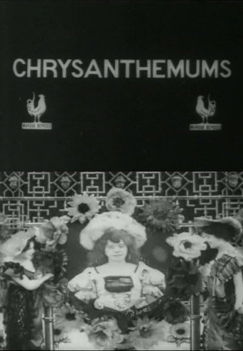 Постер фильма «Les Chrysanthèmes»