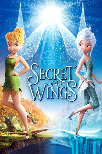 Poster for “Secret of the Wings”
