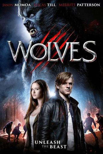 Poster for “Wolves”