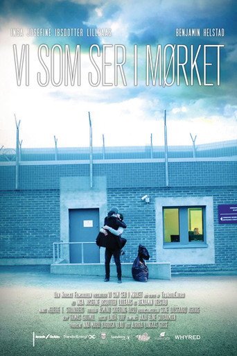 Poster for “We See in the Dark”