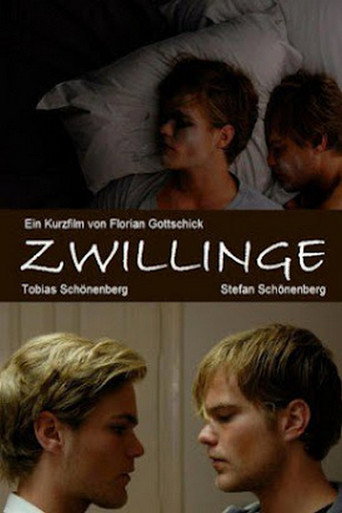Постер фильма «Zwillinge»
