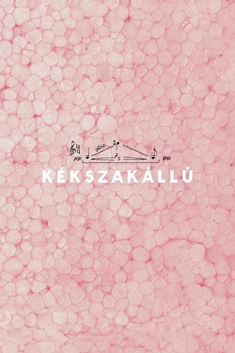 Постер фильма «Kékszakállú»
