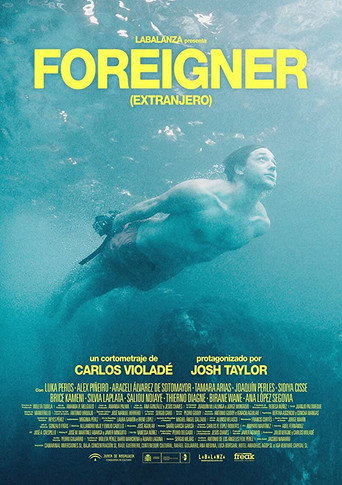 Постер фильма «Extranjero»