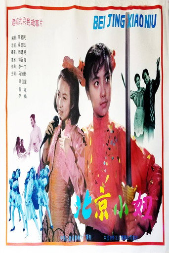 Постер фильма «北京小妞»