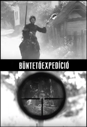 Poster for “Punitive Expedition”