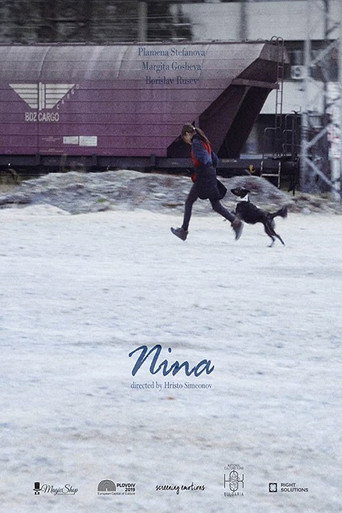 Постер фильма «Нина»