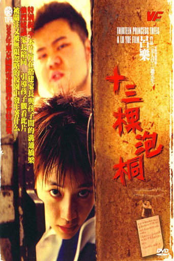 Постер фильма «十三棵泡桐»