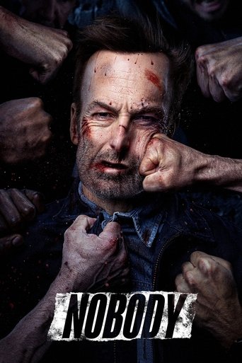 Poster for “Nobody”