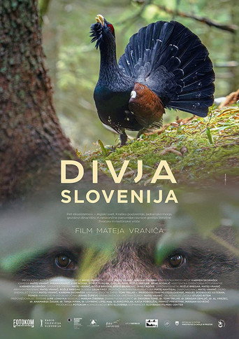 Poster for “Wild Slovenia”