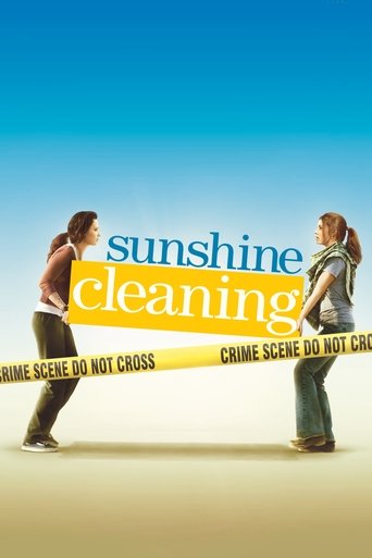 Poster for “Sunshine Cleaning”