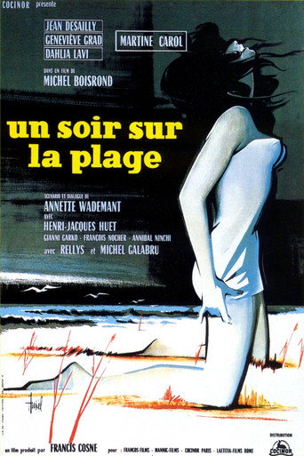 Poster for “One Night at the Beach”