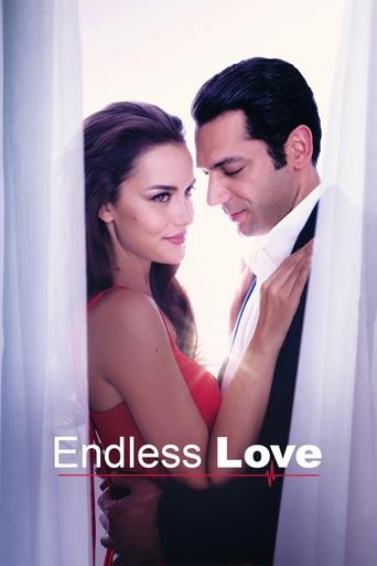 Poster for “Endless Love”