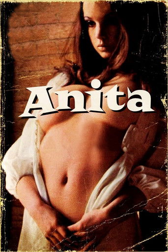 Постер фильма «Анита: Дневник девушки-подростка»