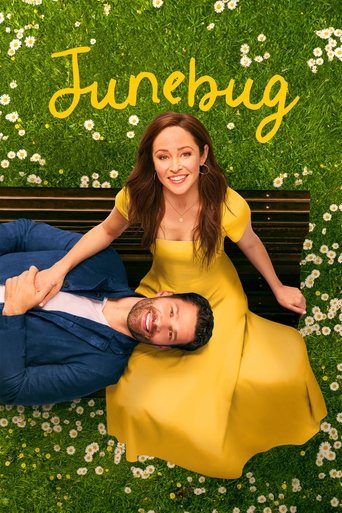 Постер фильма «Июньский жук»