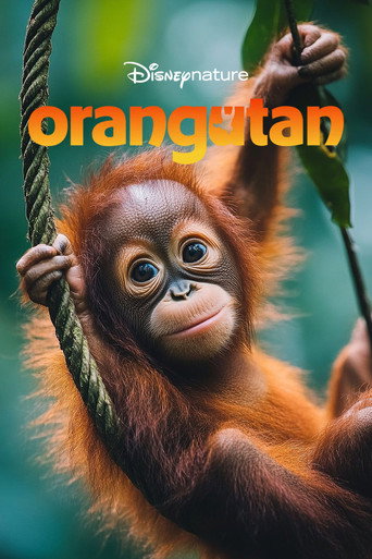 Постер фильма «Orangutan»