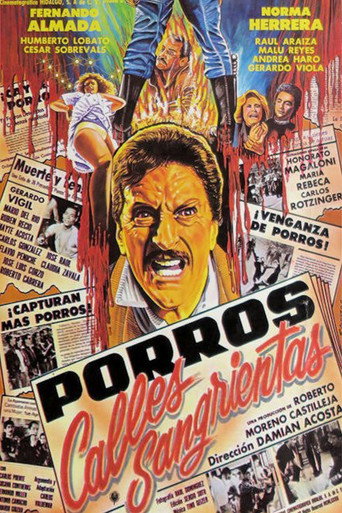 Постер фильма «Porros: Calles sangrientas»