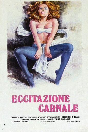 Постер фильма «Excitation au soleil»