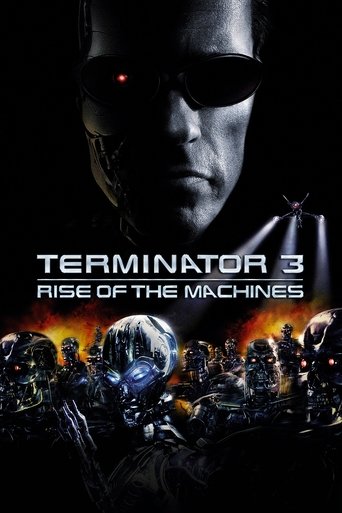 Poster for “Terminator 3: Rise of the Machines”