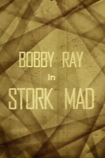Poster for “Stork Mad”