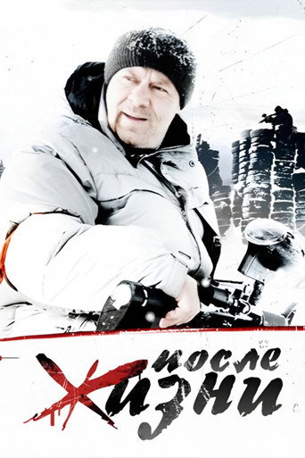 Постер фильма «После жизни»