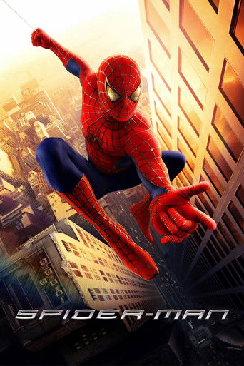 Poster for “Spider-Man”