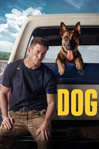 Poster for “Dog”
