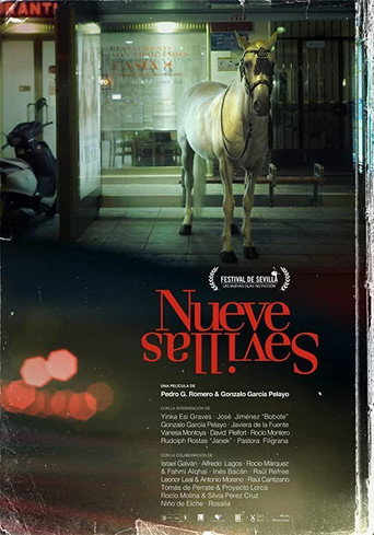 Poster for “Nine Sevilles”