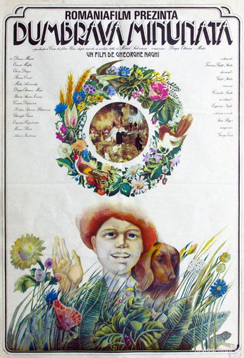 Poster for “The Enchanted Grove”
