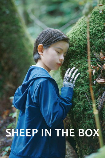 Poster for “Sheep in the Box”