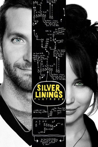 Poster for “Silver Linings Playbook”