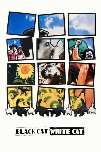 Poster for “Black Cat, White Cat”