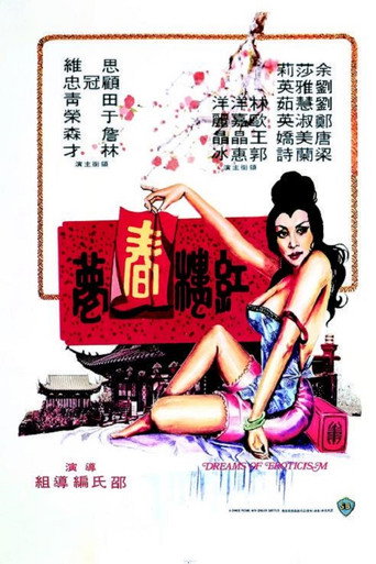 Постер фильма «紅樓春夢»