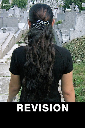 Poster for “Revision”