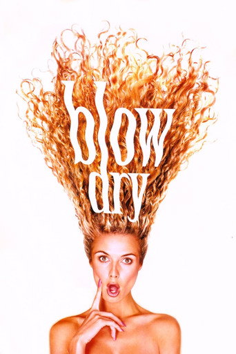 Poster for “Blow Dry”