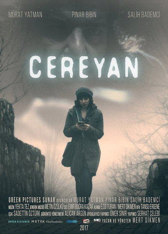 Постер фильма «Cereyan»