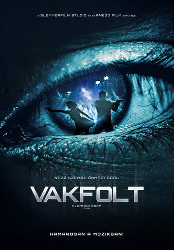 Poster for “Blindspot”