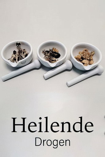 Poster for “Drugs that Heal: Could Psychedelics Treat Depression?”