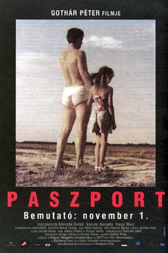 Poster for “Passport”