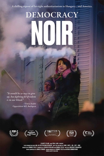 Poster for “Democracy Noir”
