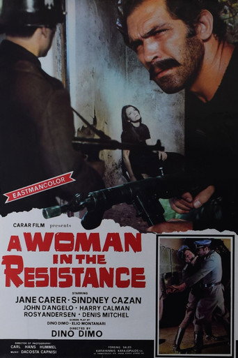 Poster for “A Woman in the Resistance”