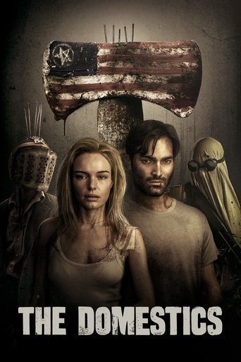 Poster for “The Domestics”