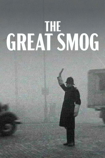 Постер фильма «Et Londres disparut dans le brouillard»