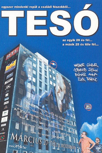 Poster for “Bro'”