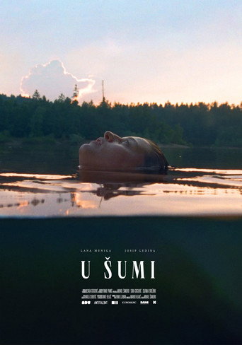 Poster for “In the Woods”