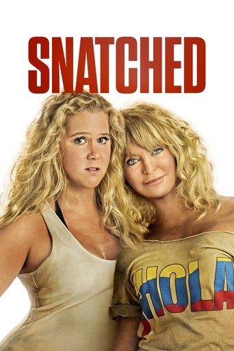 Poster for “Snatched”